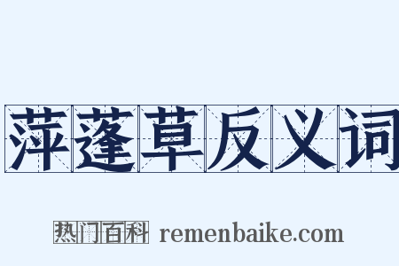 萍蓬草反义词是什么意思的图片